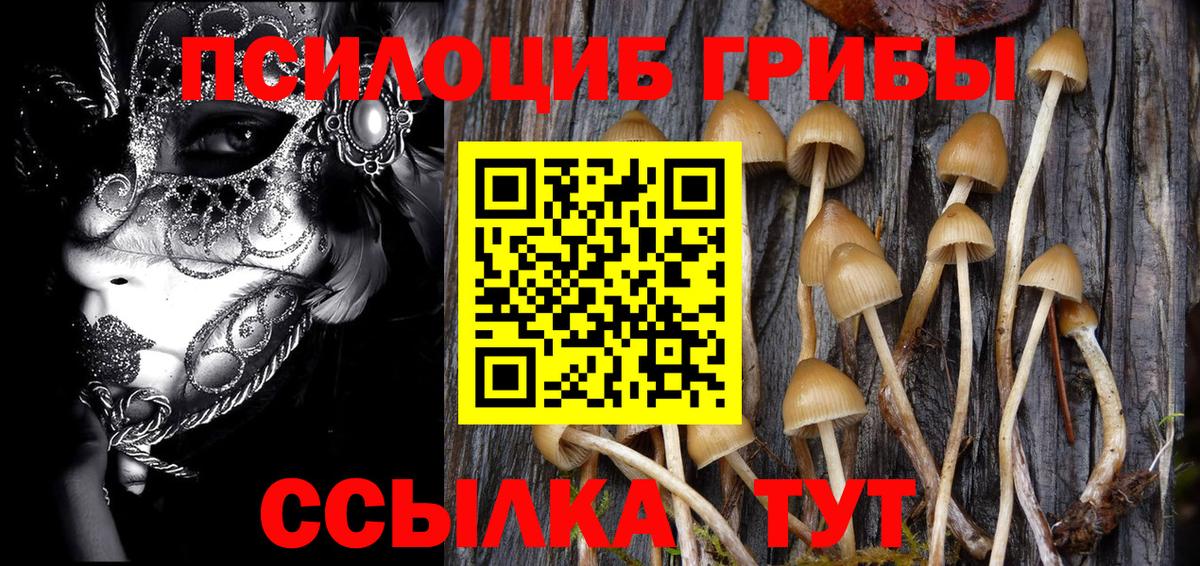 Галлюциногенные грибы Cubensis  Вход с VPN  Киров 