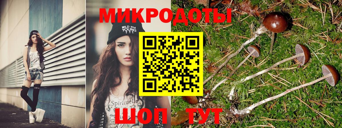 Галлюциногенные грибы GOLDEN TEACHER Киров